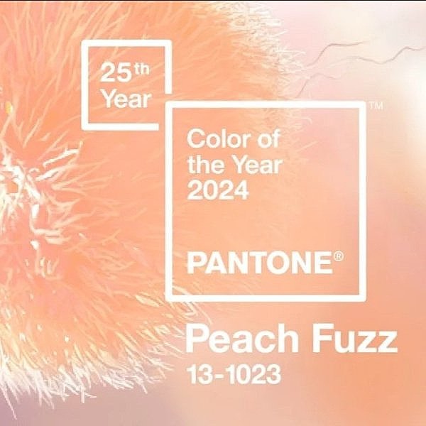 Embracing Peach Fuzz: Fashion Guide for Pantone Colour of the Year 2024